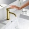 Kibi Circular Single Handle Bathroom Vanity Sink Faucet with Pop Up Drain C-KBF1008BG-KPW100BG - alternate 8